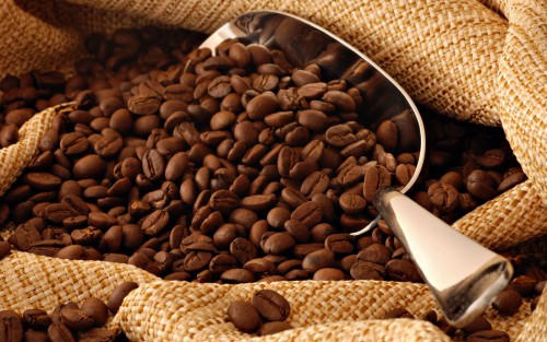 La filière café-cacao a généré un chiffre d’affaires de 95,3 millions de FCFA au cours de la campagne 2015/2016