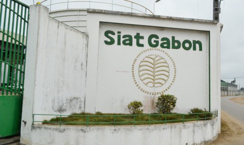 Siat Gabon a réalisé une production de 12 300 tonnes de caoutchouc au premier semestre