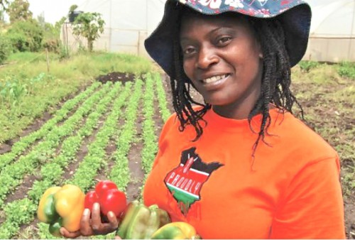 Le Gabon met en place un ‘’Guichet unique’’ pour une prise en charge des jeunes désireux d’investir dans l’agriculture