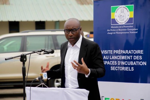 Bientôt un incubateur des hydrocarbures à Port-Gentil