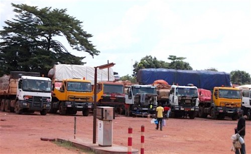 Le Gabon prévoit de porter ses flux annuels de transport de marchandises de 4 à 50 millions de tonnes en 2025