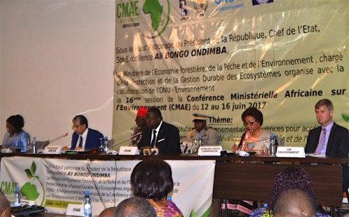 La 16e CMAE a pris fin avec l’adoption de la ‘’déclaration de Libreville’’
