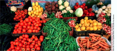 Agriculture : le gouvernement dévoile ses ambitions en termes d’exportations