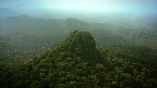 Le Gabon préside le forum des Nations unies sur les forêts du 4 au 15 mai