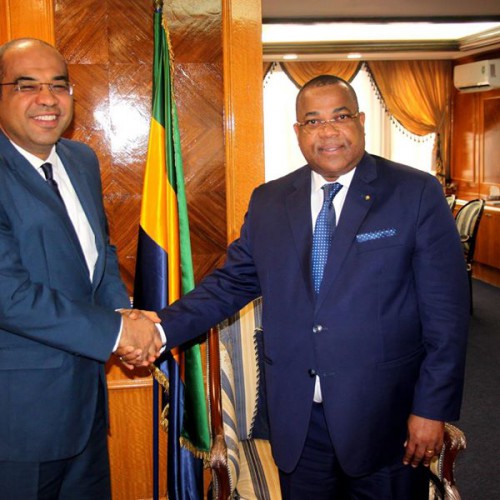 Le Gabon et l’Égypte se concertent sur la matérialisation des accords économiques signés en 2017