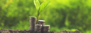 Environnement : la finance-climat en débat à Libreville  