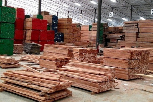 Bois : le Gabon enregistre un repli de 6,6 % de l’activité au 4e trimestre 2024