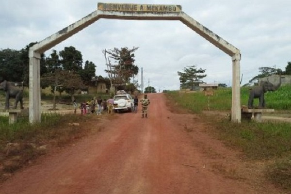 Les pas du Gabon dans la lutte contre les enfants fantômes