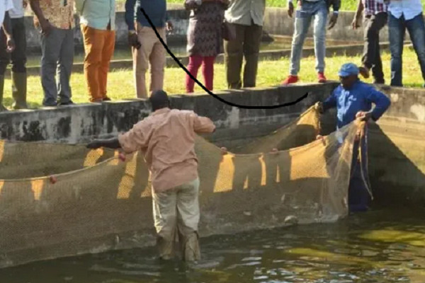 Aquaculture et pisciculture : 423 exploitants recensés à travers le Gabon
