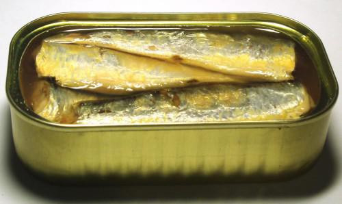  Gabon: Tropical Holding lancera prochainement des sardines Made in Gabon 