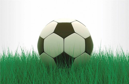9,516 milliards de FCFA au titre de subventions des fédérations sportives en 2015