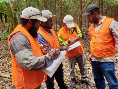 Le Forest Stewardship Council prépare son implantation au Gabon  