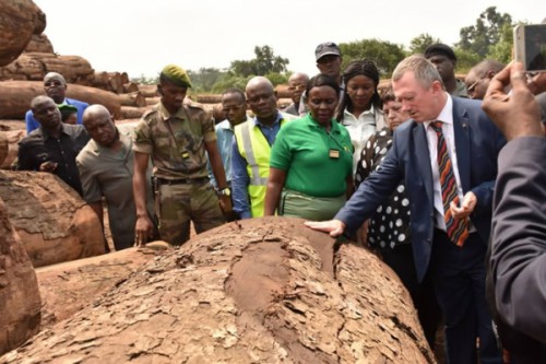 Le Gabon autorise à nouveau l’exportation du bois interrompue à la suite du scandale du Kévazingo