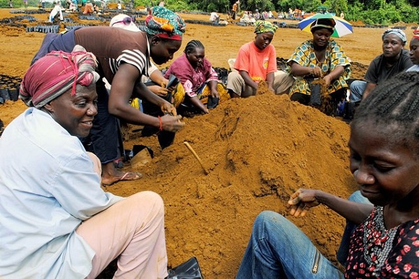 Le Gabon va solliciter un prêt de 35 milliards de FCFA auprès du Fida, pour financer le développement agricole et rural