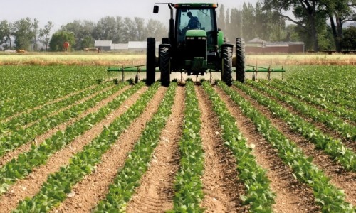Le gouvernement crée une agence pour développer l’agriculture au Gabon