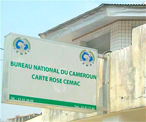 Assurance : la carte rose CEMAC permet de régler déjà 200 à 300 millions FCFA de sinistres par an