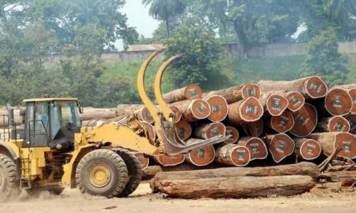 En 2017, les importations de bois sciés par l’UE ont été plombées par la baisse des expéditions camerounaises, gabonaises et congolaises