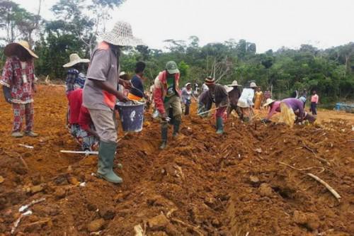 Gabon : la BAD injecte 1,2 milliard Fcfa dans le programme Graine