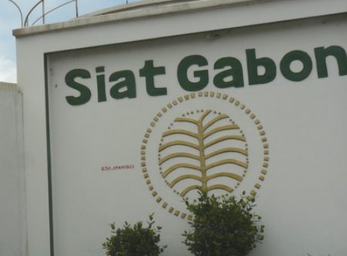 L’action Siat Gabon stagne à la Bvmac