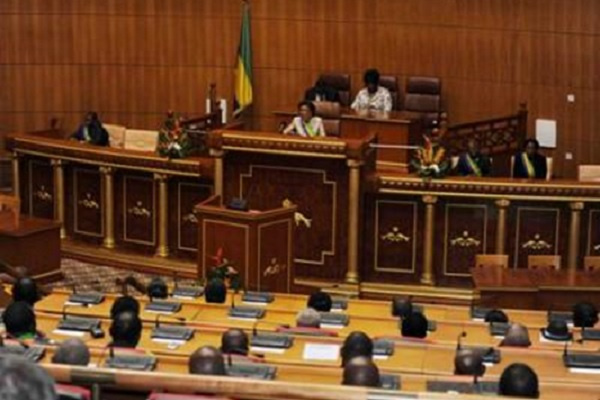 Sénat : le Gabon en quête de plus d’efficacité avec moins de moyens