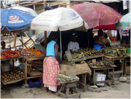 La direction générale des Impôts procède au recouvrement des taxes au marché de Nkembo