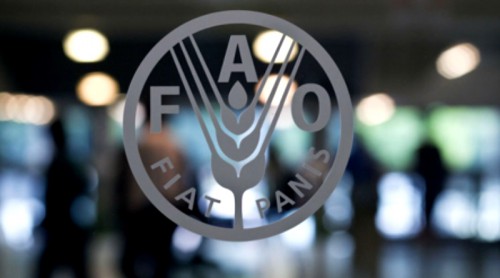  La FAO veut aider le gouvernement à disposer de statistiques agricoles fiables  