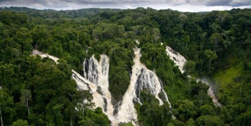 Terea restitue l’étude biologique du milieu naturel de deux projets hydroélectriques au Gabon
