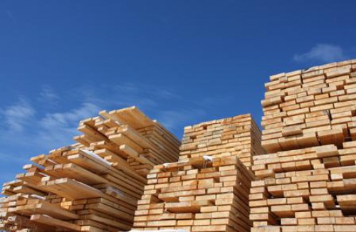 200 jeunes Gabonais déjà recrutés par Tropical Timber Industry Board  