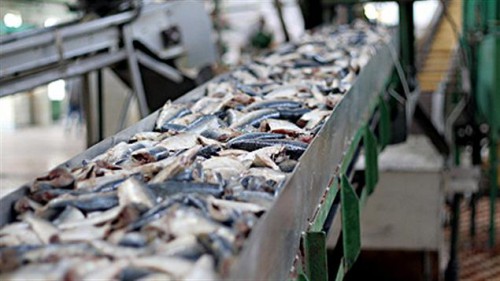 Le Gabon et l’Union européenne ouvrent des négociations pour le renouvellement de l’Accord de pêche au thon