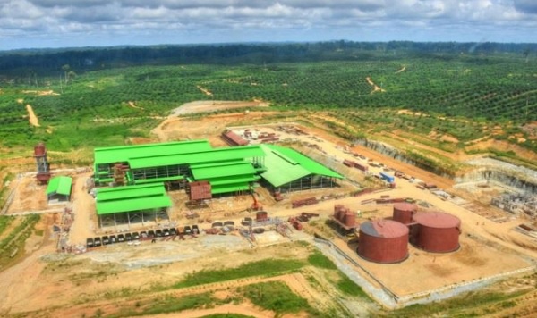 En 2019, le Cameroun a importé pour 5,5 milliards de FCFA de l’huile de palme du Gabon