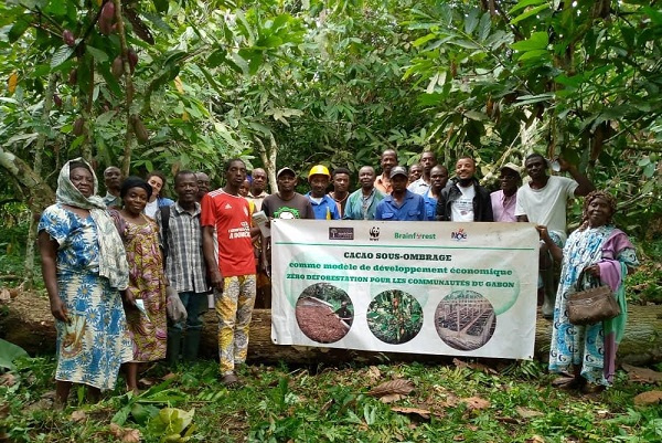 Les producteurs de cacao sensibilisés contre la déforestation dans le Woleu-Ntem