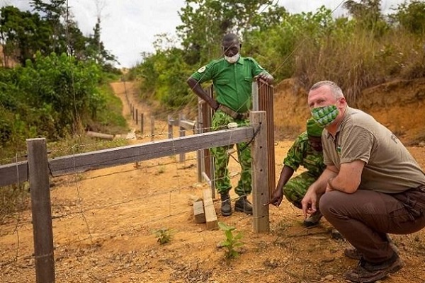 Conflit homme-éléphant : déjà 15 barrières électriques érigées sur l&#039;ensemble du territoire