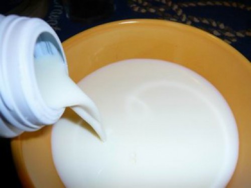 La Jordanie veut investir prioritairement dans la transformation des produits laitiers au Gabon