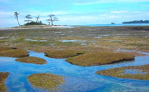 Le Parlement gabonais va ratifier le compromis de la Cour Internationale de Justice sur l’Ile de Mbanie