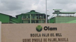 Olam revendique une production de 8 866 tonnes d’huile de palme au premier semestre 2017