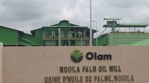 Olam revendique une production de 8 866 tonnes d’huile de palme au premier semestre 2017