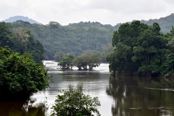 Faible pollueur, le Gabon plaide pour une compensation de ses efforts pour protéger la planète