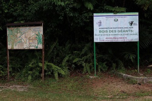 Le Gabon ouvre la semaine de l’environnement à l’arboretum Raponda Walker