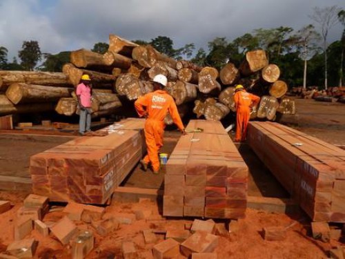 Le groupe chinois Yihua veut s’installer dans la zone économique spéciale de Nkok