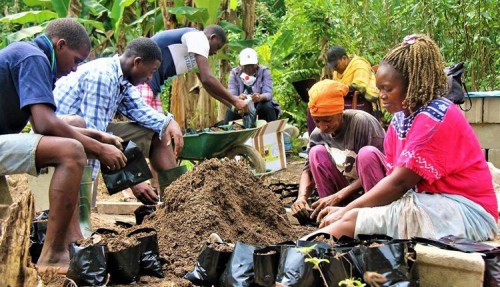 La FAO évalue l’impact de ses projets sur les communautés locales au Gabon