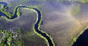 Le Gabon, acteur précoce dans la lutte contre le dérèglement climatique