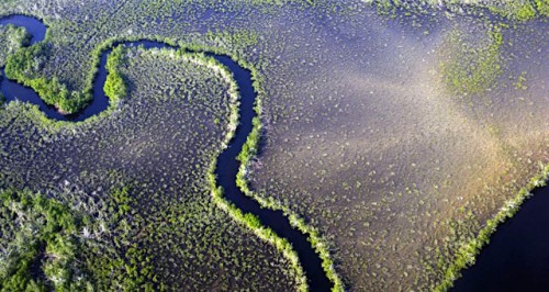 Le Gabon, acteur précoce dans la lutte contre le dérèglement climatique