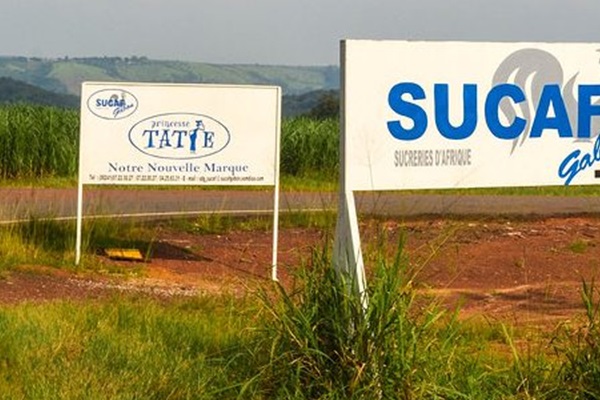Le Turc MFB International reprend pour « un franc symbolique » Sucaf Gabon, contrôlée par le Français Somdiaa