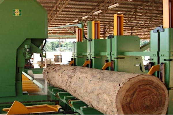 775 000 m3 de bois ont été transformés à la ZES de Nkok en 2020, en hausse de 10,7%