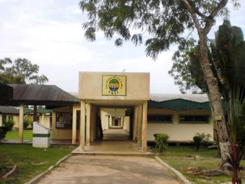 L’Ecole nationale des eaux et forêts du Gabon recrute 75 élèves