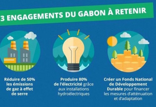 Cop 21 : Ali Bongo expose la stratégie du Gabon pour limiter le réchauffement climatique