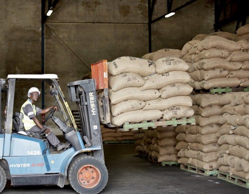 La Caisse de stabilisation et de péréquation déplore les ventes parallèles de cacao vers le Cameroun