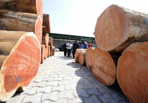 Une bourse nationale pour le bois gabonais