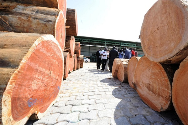 Industrie du bois : la production chute de 30% au 2e trimestre en raison des difficultés d’approvisionnement des usines