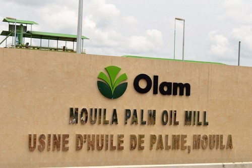 Olam double sa production d’huile de palme à fin septembre